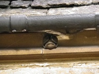 Sutton Benger - photo: 00023
